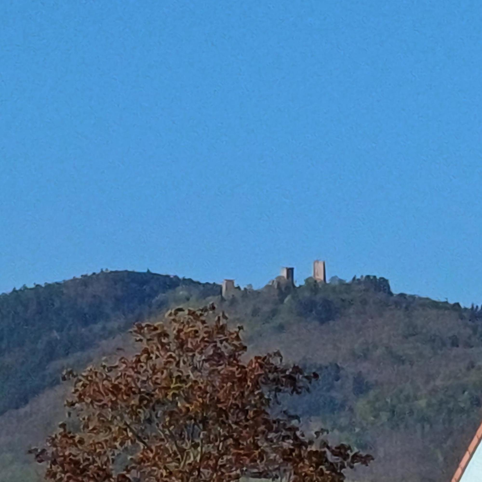 Les Vignobles D'Alsace Hotel วินเซินไฮม์ ภายนอก รูปภาพ